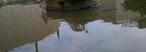 印染废水混凝沉淀初沉池排泥过稀现象
