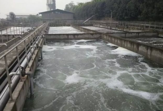 纤维废水处理污泥培养现状